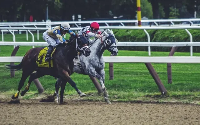 Racehorses at the rail